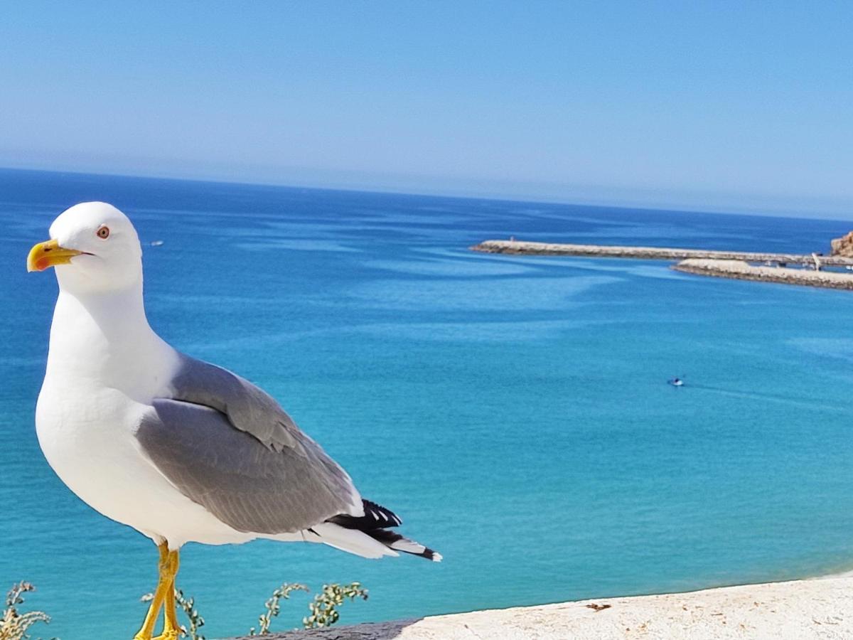 דירות אלבופיירה Alzira By Rossio מראה חיצוני תמונה